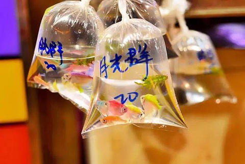 金鱼街旅游景点攻略图