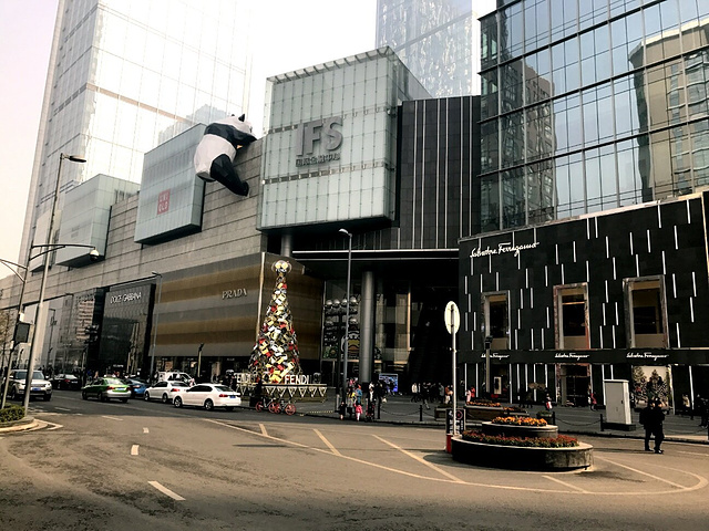 这是一只穿着熊猫皮的鸭_ifs国际金融中心"的评论图片