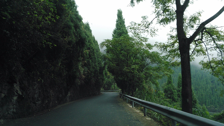 "与许多商业化的旅游景点相比，这里是纯粹的原生态，没有喧嚣，没有人群的熙熙攘攘，村子出奇的安静_芹川村"的评论图片