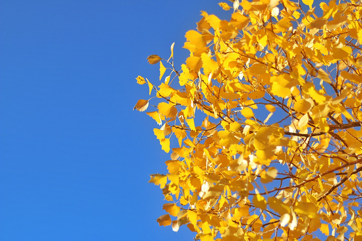 景区几乎没手机信号建议带老人和小孩儿的就别去了一是没什么好看的