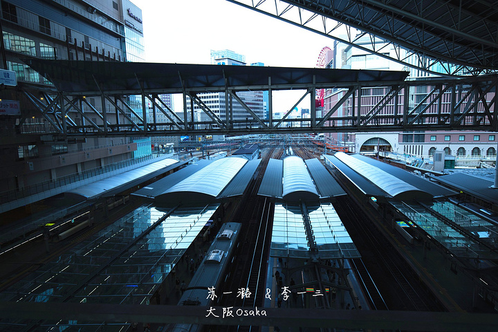 lucua 大厦就在大阪/梅田站,这里有220多家免税店,汇聚了最时尚的新品