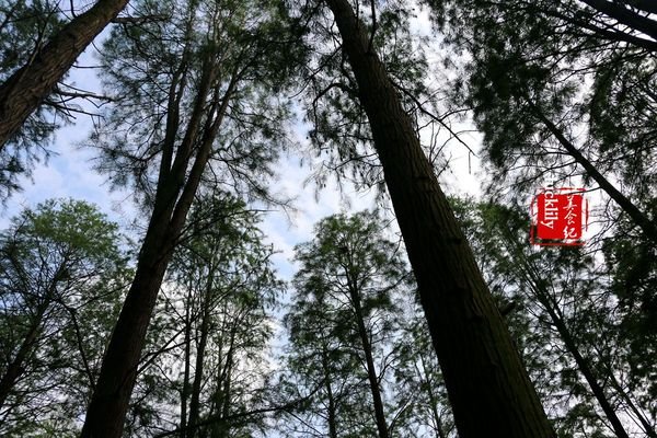 渌洋湖湿地公园