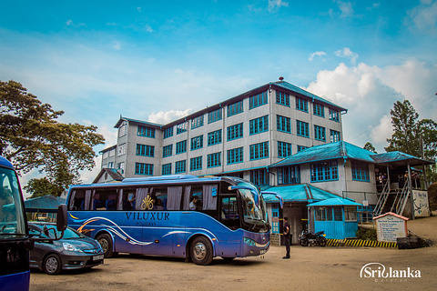 蓝房子茶厂旅游景点攻略图