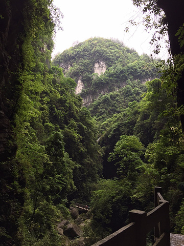 "地缝可以看到很多悬崖峭壁和通往地下的石缝，整个景区比天坑要昏暗一些，也更阴冷，但个人认为景色有..._小寨天坑风景区"的评论图片