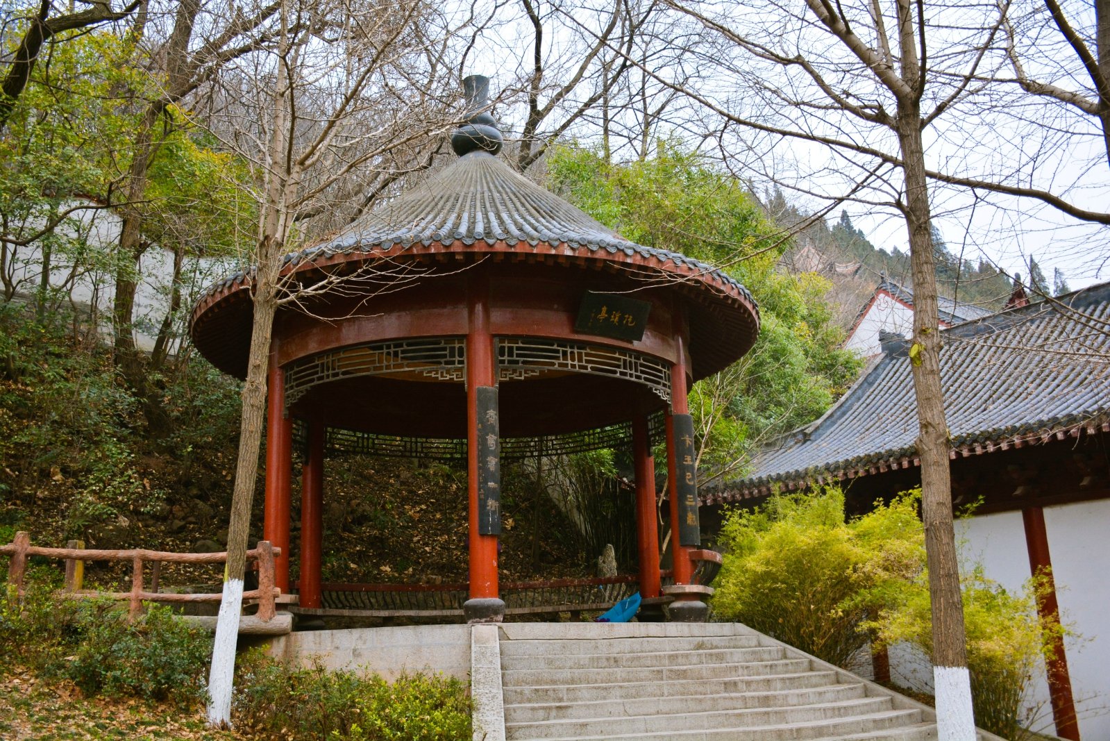 第一站就是来到了市内这个最老牌的公园龙泉公园步入公园内首先看到的