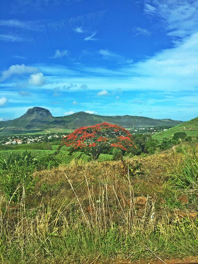 西沃萨古尔·拉姆古兰爵士国际机场