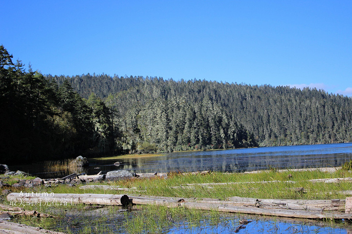 普达措国家公园, 没错,就是张杰和谢娜结婚的地