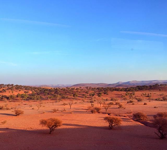 Casa- Voyageurs 火车站