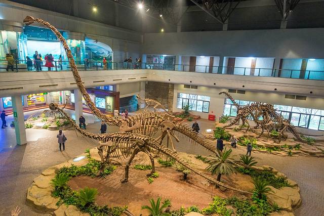 自贡恐龙博物馆