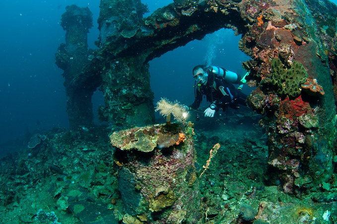 我的潜水日记:十大醉美潜水胜地
