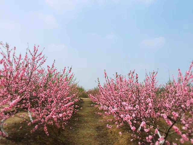 莫斯卡自然保护区