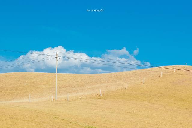 青海湖金沙湾自然保护区