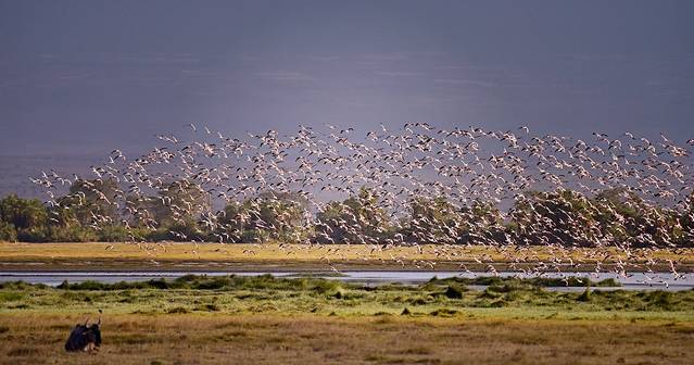 安博塞利国家公园