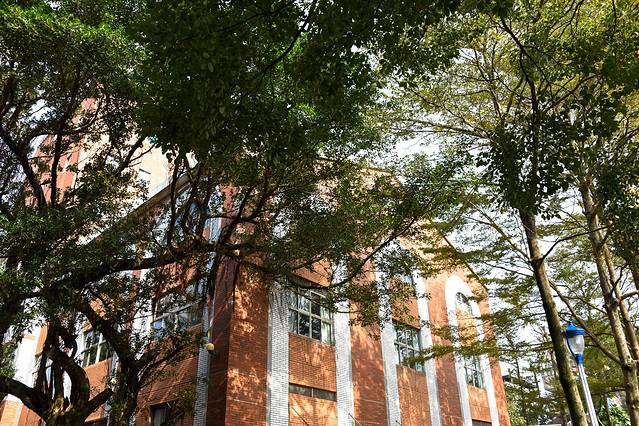 淡水阿给淡江高中老店