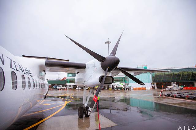 惠灵顿国际机场