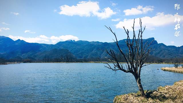 大九湖国家湿地公园