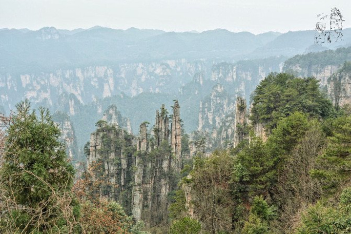 "天子山景区天子山是张家界最早开发出来的景点之一，天子山有着天下峰林“扩大的盆景，缩小的仙境”之称_张家界国家森林公园"的评论图片