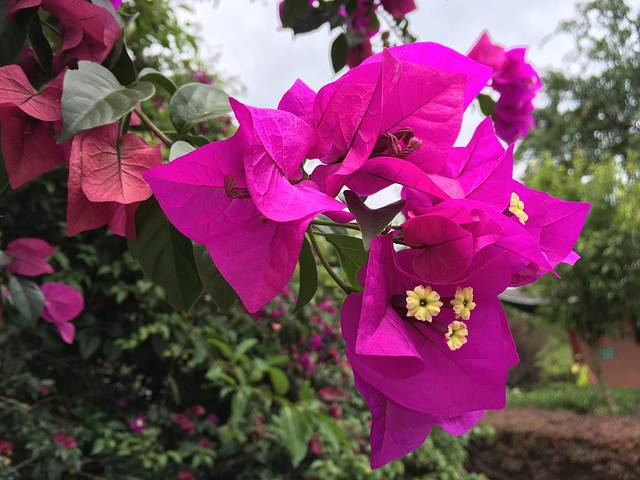 贵州省民族博物馆