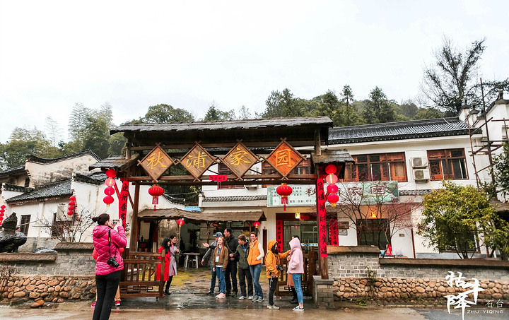 2017土鸡蛋永远是我最爱的农家菜,这种土生土