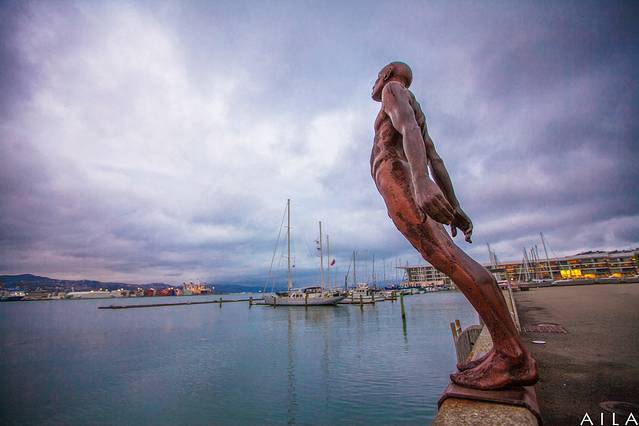 新西兰国立博物馆