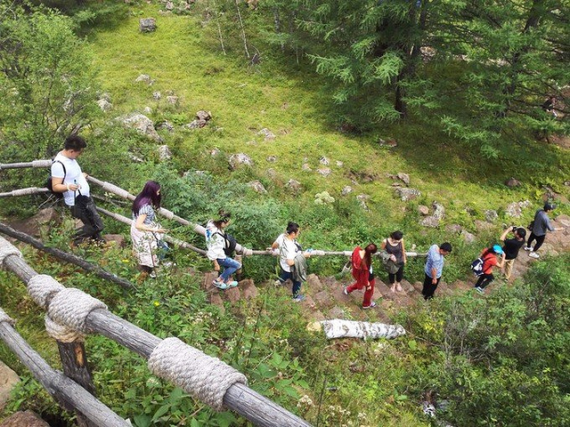 "白桦林虽然美，但其实后来的旅途中有更多更自然美的白桦林，这个景点反而人工痕迹多了点_金帐汗旅游部落"的评论图片