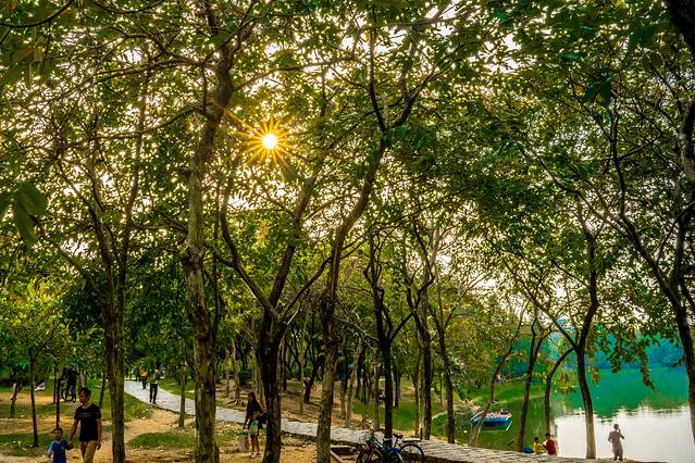 大夫山森林公园