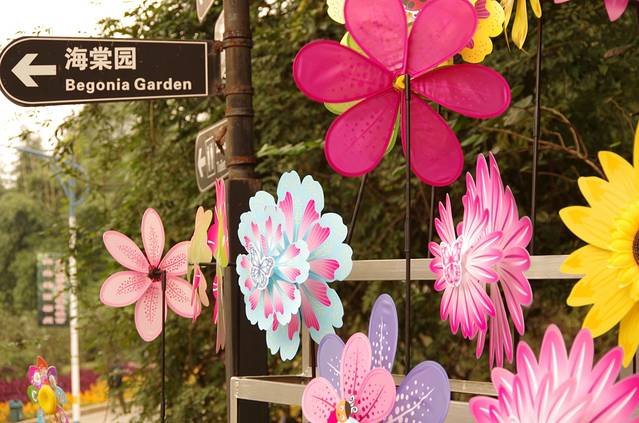 郴州市南岭植物园