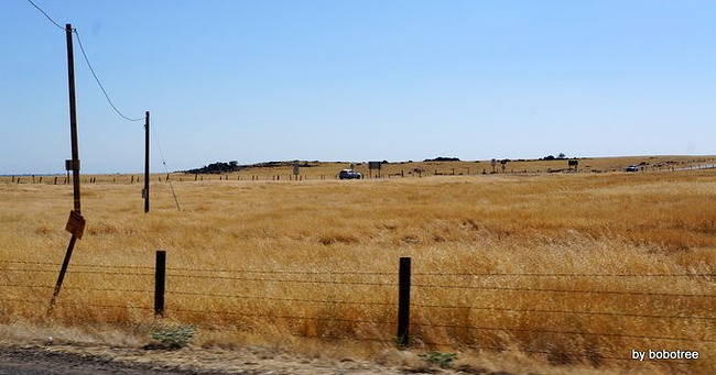 美西国家公园之旅-自驾游记_黄石国家公园旅游