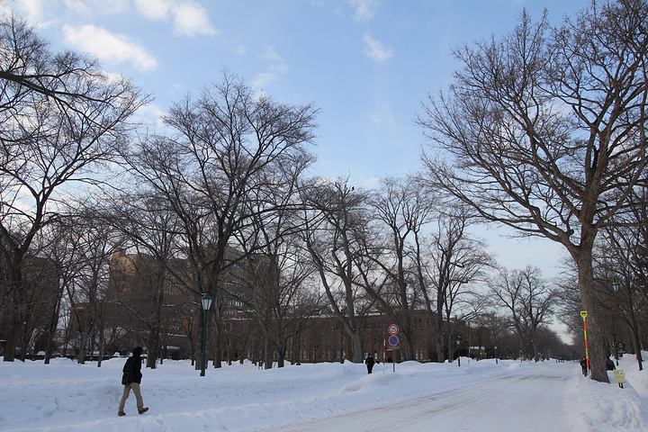 北海道大学没有特别明确的一个围墙,走啊走就