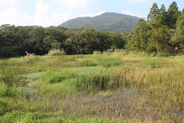 冷水坑游客服务站