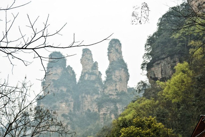 "天子山景区天子山是张家界最早开发出来的景点之一，天子山有着天下峰林“扩大的盆景，缩小的仙境”之称_张家界国家森林公园"的评论图片