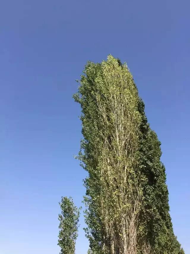 乌兹别克斯坦 (环亚洲骑行第十国)