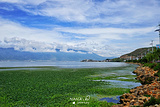 洱海