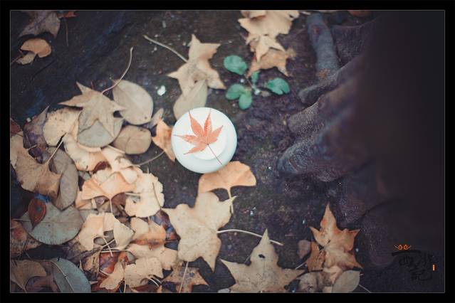 花果山风景区-屏竹禅院