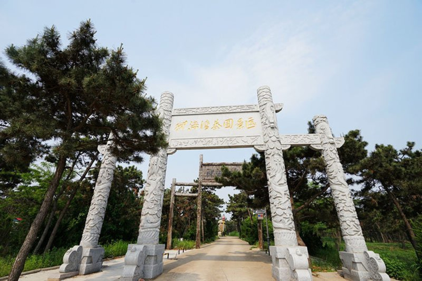 日照御海湾茶园图片