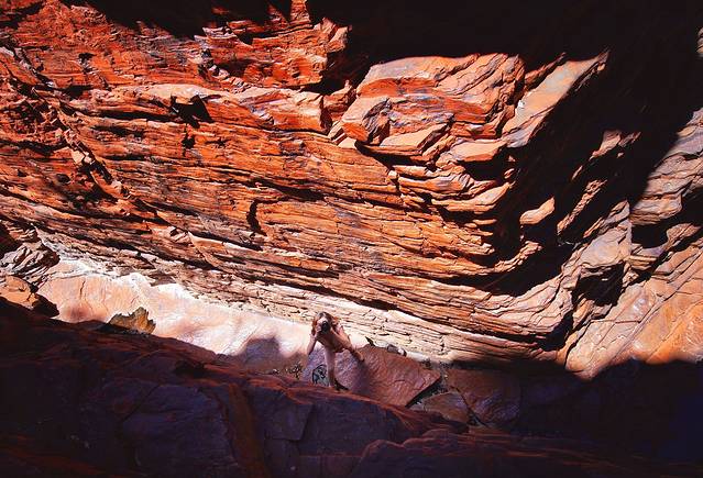 卡里基尼国家公园