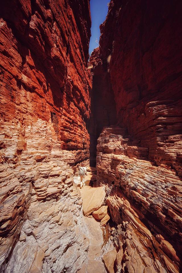 卡里基尼国家公园