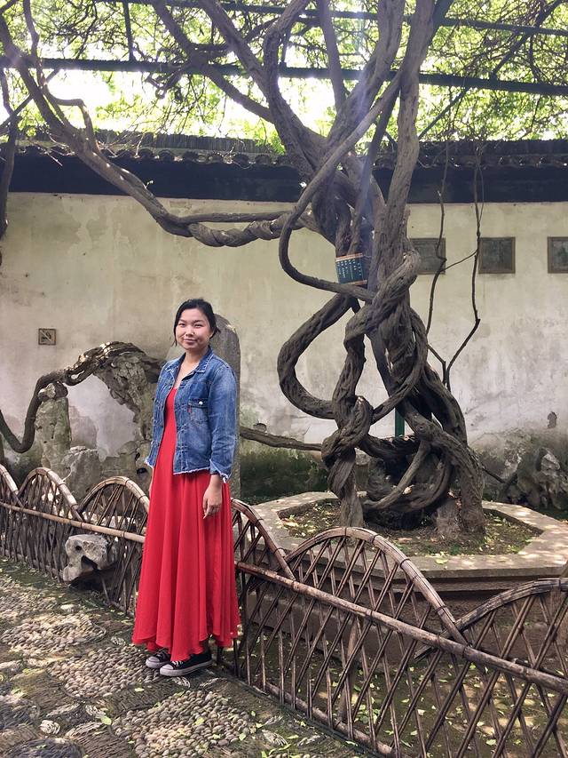 15个月豌豆宝宝苏州老城区3日游 狮子林观前街