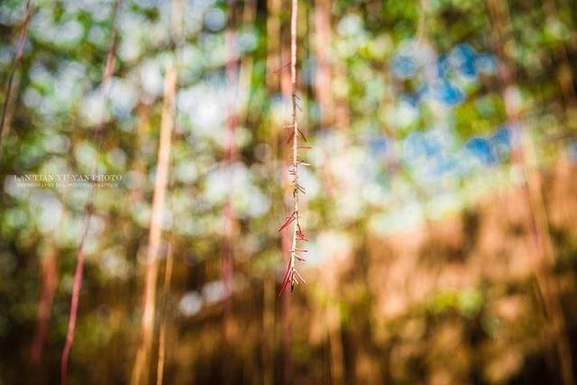 南腊河康养度假营地