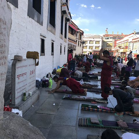 2017于是,一场以千只白山羊驮土建寺的浩荡工