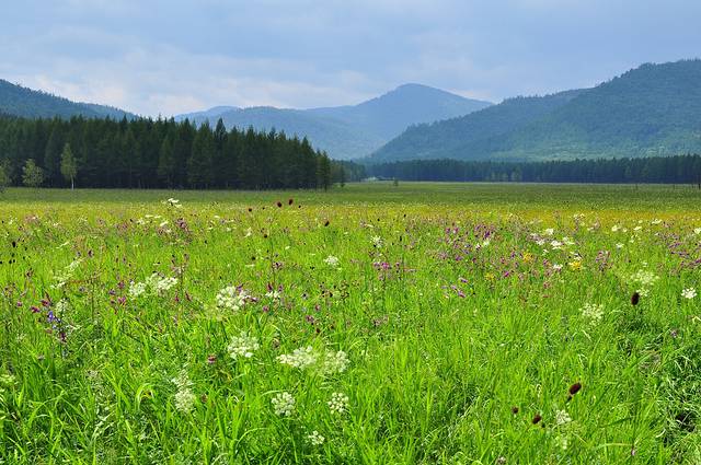 阿尔山国家森林公园