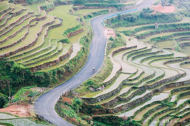 加榜梯田