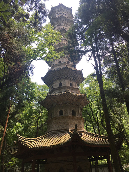 瑞隆感应塔图片