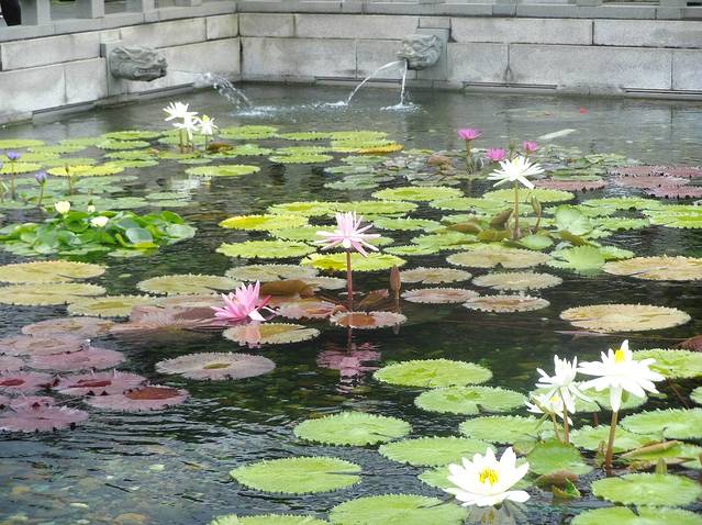 志莲净苑 天王殿