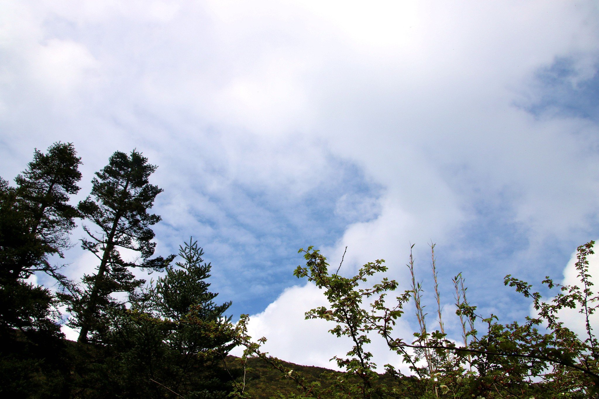 无限风光在顶峰——攀登米易县最高峰白坡山游记