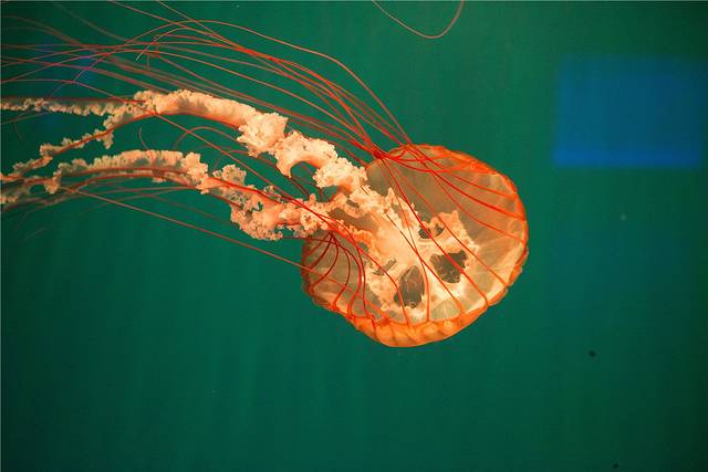 多彩贵州城极地海洋世界