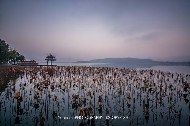 杭州西湖风景名胜区-集贤亭