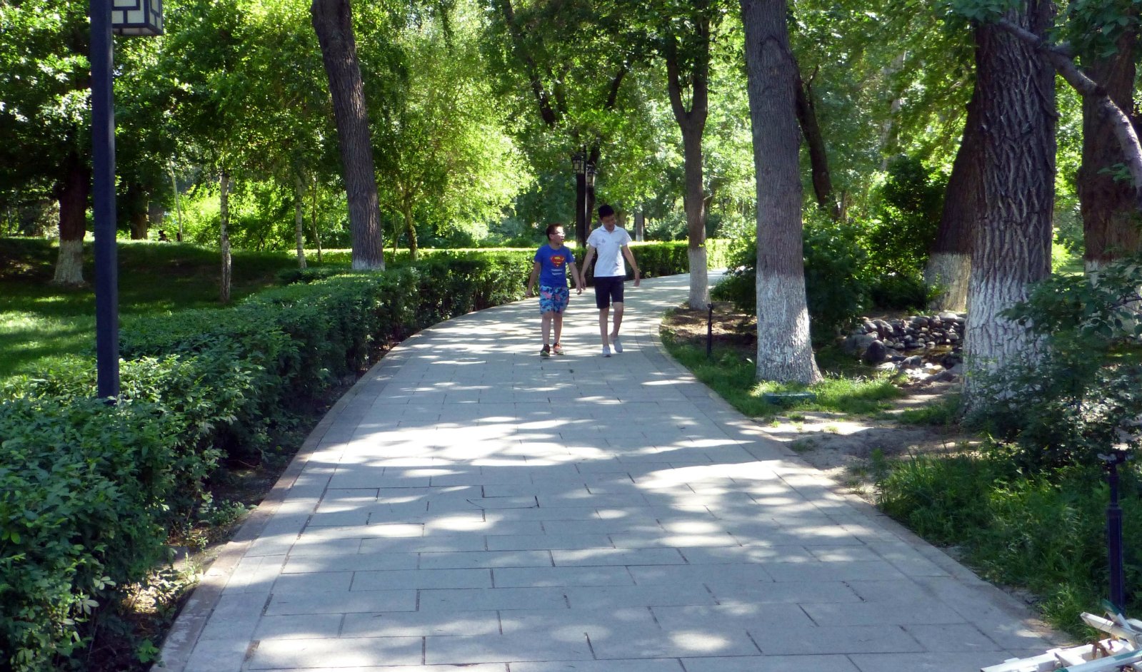 新疆乌鲁木齐人民公园是一个城市中心公园,面积不很大,绿树成荫,湖水