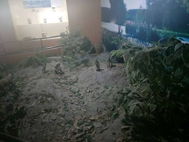 甪直历史文物馆