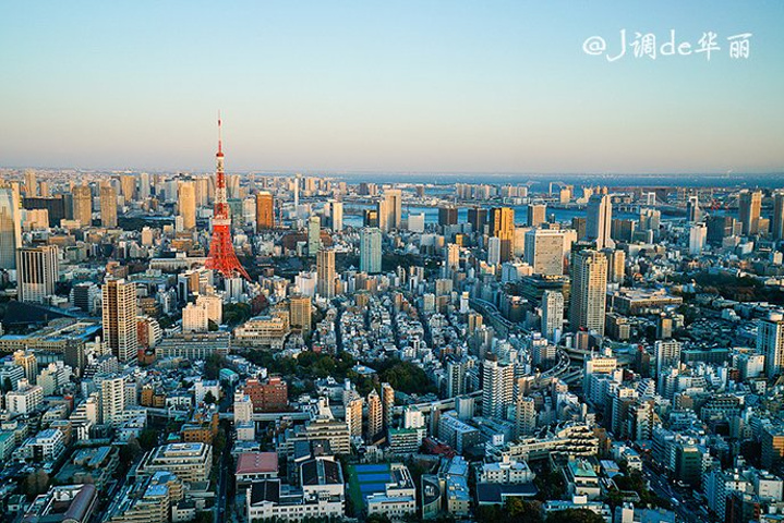 2023東京遊玩攻略,東京交通/住宿/行程/美食/購物攻略,東京注意事項